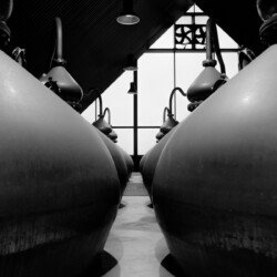 A black and white photo of two large vases
